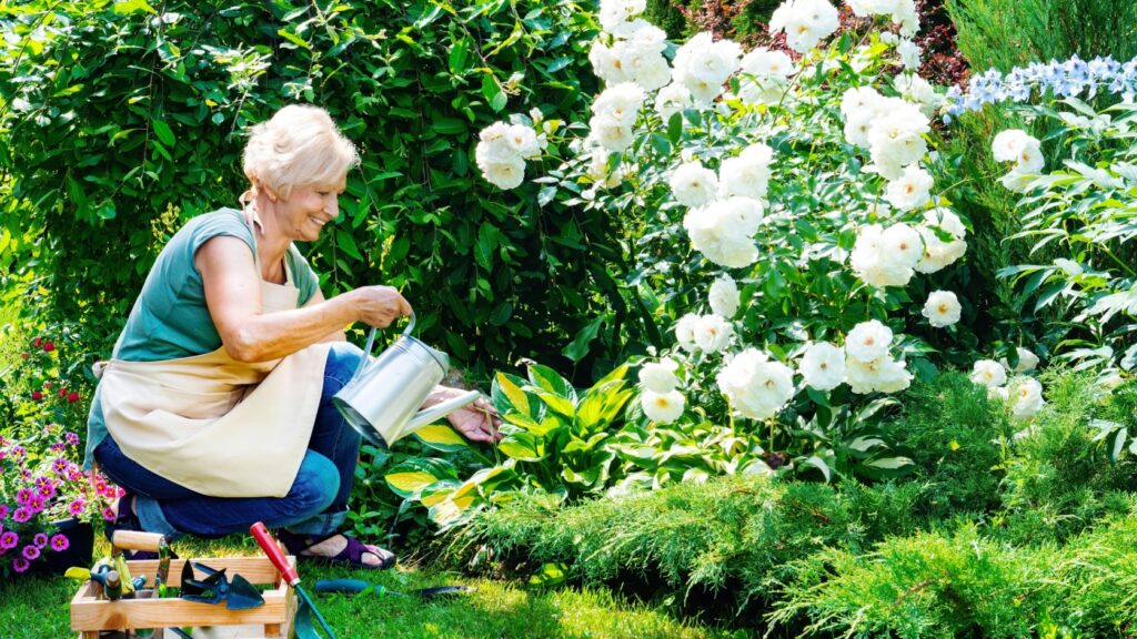 A woman tending to a garden.